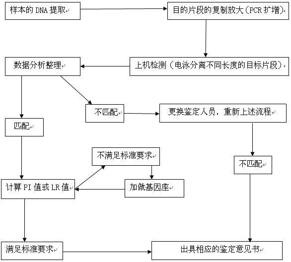 鉴定流程